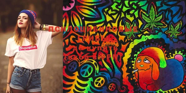 PSILOCYBIN Балахна