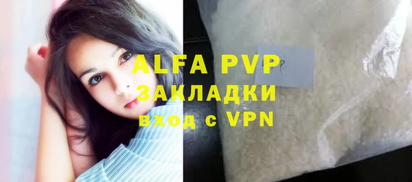 индика Баксан