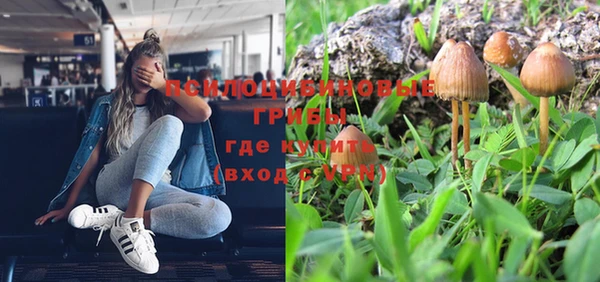 PSILOCYBIN Балахна