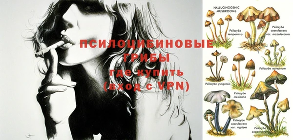 PSILOCYBIN Балахна