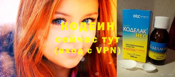 индика Баксан