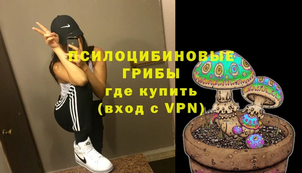 индика Баксан