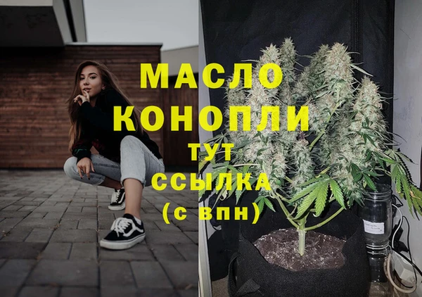 индика Баксан