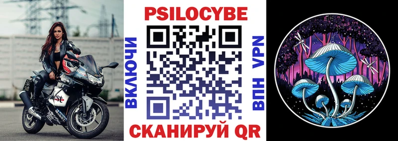 OMG сайт  Оса  Псилоцибиновые грибы Psilocybine cubensis  где купить наркоту 